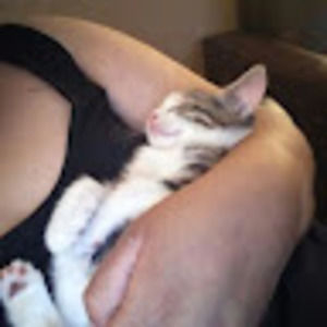 Meet your Posher, Elia